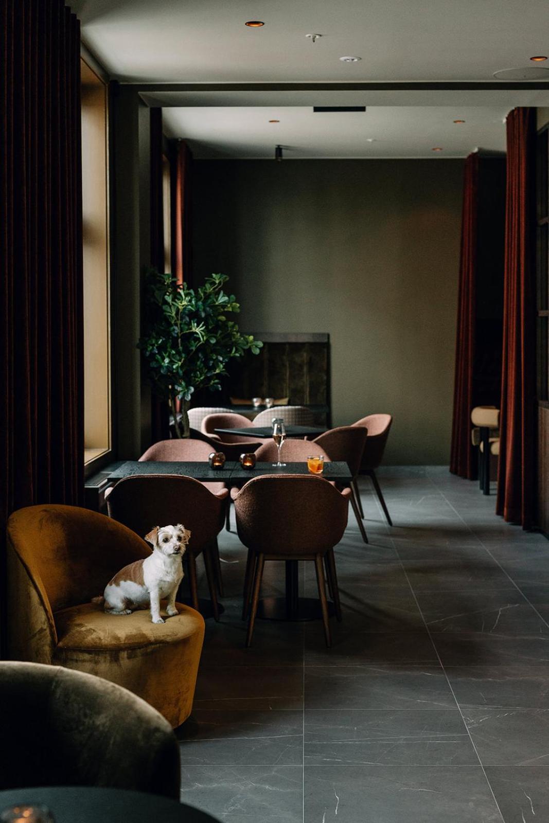 Saga Hotel Oslo, Worldhotels Crafted Εξωτερικό φωτογραφία